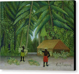 Henri Rousseau Banana Harvest 1907 1910 - Canvas Print