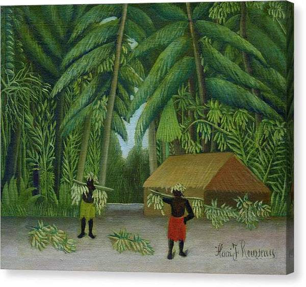 Henri Rousseau Banana Harvest 1907 1910 - Canvas Print