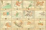 Decorative medieval star chart  astrology 2