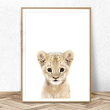 Kids Room Giraffe elephant lion tiger zebra Nursery Wall Art Baby Decor HQ Canvas Print