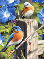 DIY Diamond Painting Birds Diamond Animals 5D DIY Mosaic Full Drill Decoration Home