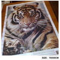 DIY Diamond 5D DIY Diamond Painting Tiger Full Square/Round Drill Mosaic Painting Decoration