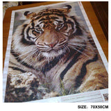 DIY Diamond 5D DIY Diamond Painting Tiger Full Square/Round Drill Mosaic Painting Decoration