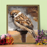 DIY Painting By Number Bird Drawing On Canvas Hand Painted Paintings Art Gift DIY Painting By Numberss Animal Kits Home Decor