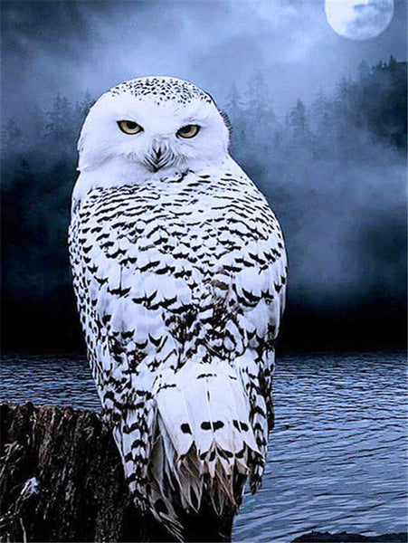 DIY Full Drill Diamond Painting 5D Owl DIY Diamond Art Animal Mosaic Home Decor