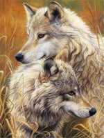 DIY Painting By Number Wolf Drawing On Canvas HandPainted Paint Art Gift DIY Painting By Numbers Animal Home Decoration Kits