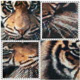 DIY Diamond 5D DIY Diamond Painting Tiger Full Square/Round Drill Mosaic Painting Decoration