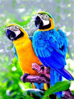 DIY 5D DIY Diamond Painting Parrot Full Square Round Animal Bird Diamond Mosaic Handmade