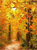 DIY 5D Diamond Painting Full Round Diamond Mosaic Landscape Diamond Autumn Scenery