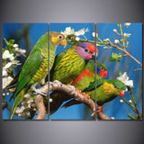 3 Panel Canvas Art Green Parrots On The Tree Wall Pictures for Living Room WITH FRAME HQ Canvas Print