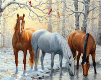 DIY Painting By Numbers Horse Animals DIY Hand Painted Wall Art Drawing Acrylic Painting By Numberss Gift Home Decor