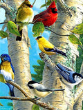 DIY Diamond Painting Birds Diamond Animals 5D DIY Mosaic Full Drill Decoration Home