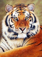 DIY Diamond 5D DIY Diamond Painting Tiger Full Square/Round Drill Mosaic Painting Decoration