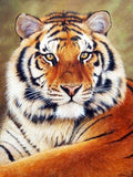 DIY Diamond 5D DIY Diamond Painting Tiger Full Square/Round Drill Mosaic Painting Decoration