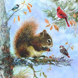 DIY 5D Diamond Painting Squirrel Animal Diamond Bird Mosaic Home Decor